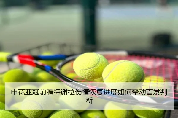 申花亚冠前瞻特谢拉伤情恢复进度如何牵动首发判断